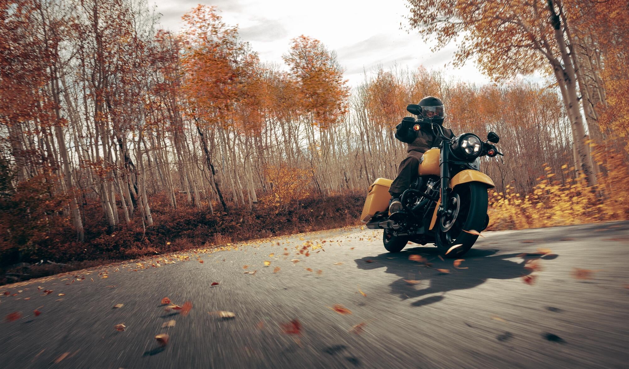 2023 Harley-Davidson Grand Touring-Rolling Thunder Harley-Davidson