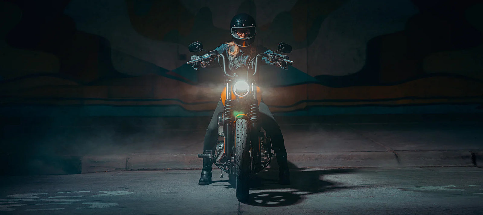 2025 Harley-Davidson Cruiser