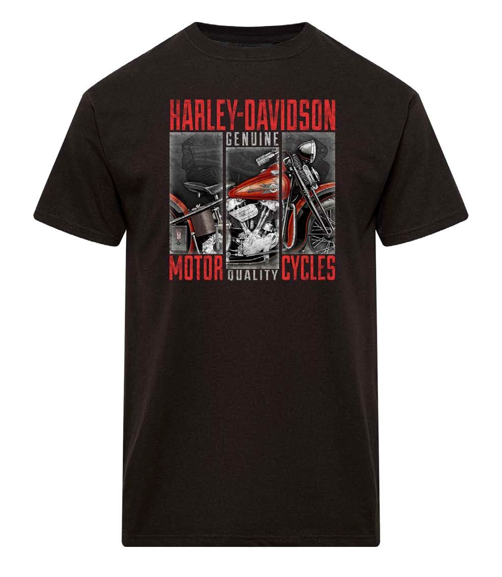 Harley-Davidson Men's Archive Dealer Tee