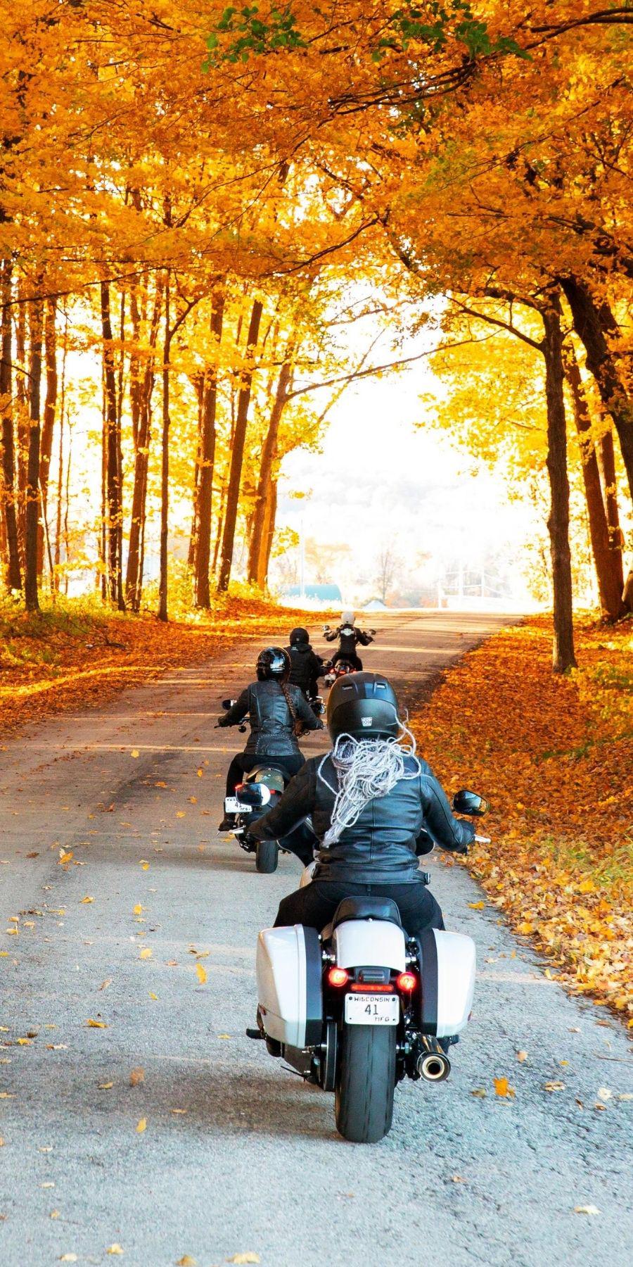 Harley-Davidson Insurance New Zealand