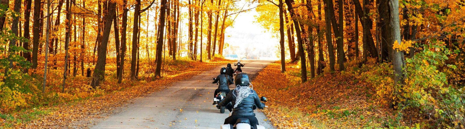 Harley-Davidson Insurance New Zealand