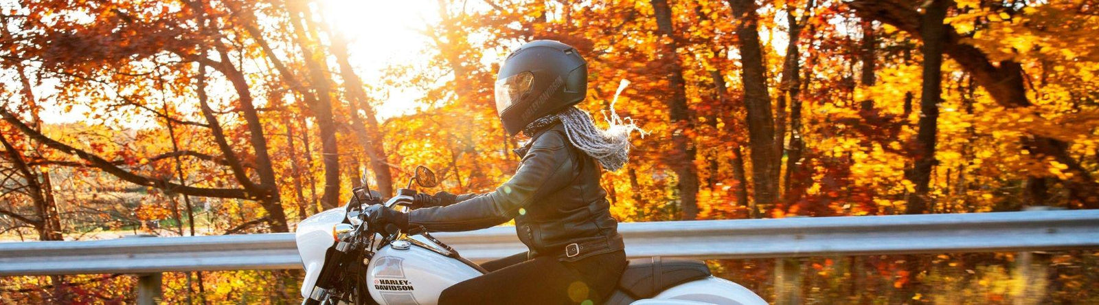 Harley Davidson Finance New Zealand