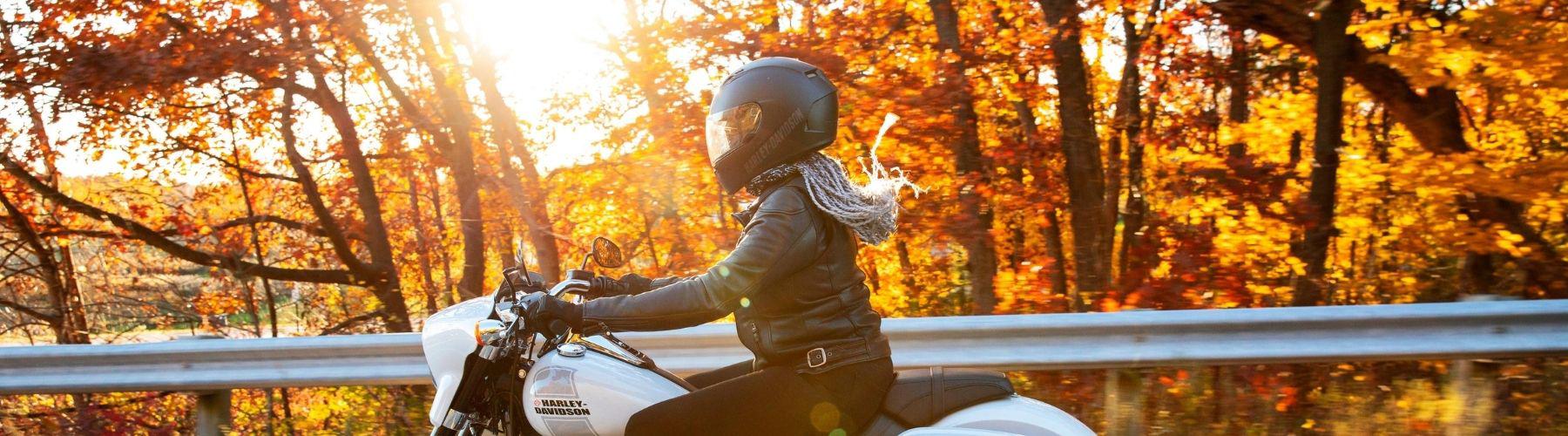 Harley Davidson Finance New Zealand