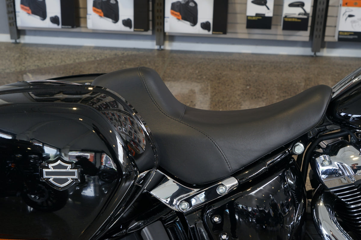 2025 Harley-Davidson Low Rider ST