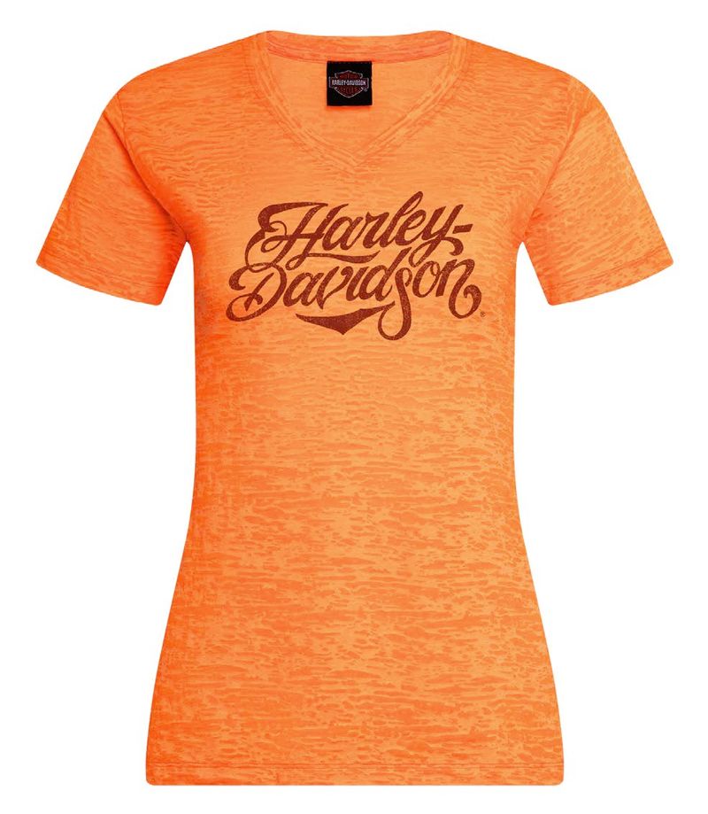 Harley-Davidson Delicate Ladies Dealer Tee