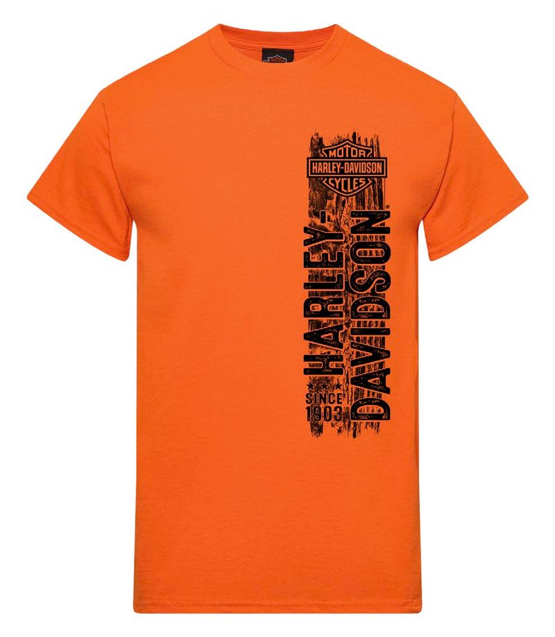 Harley-Davidson Men's Straight Up Dealer Tee