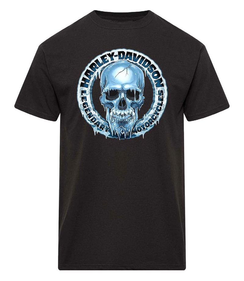 Harley-Davidson Permafrost Men's Dealer Tee