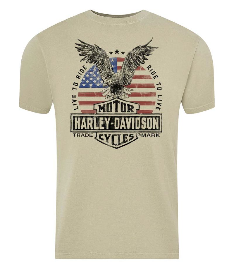 Harley-Davidson Rise Men's Dealer Tee
