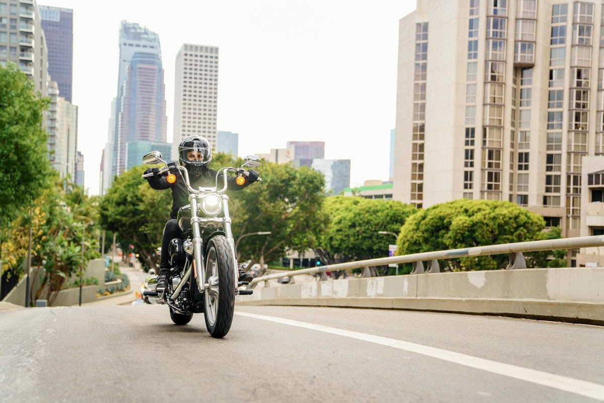 2022 Harley-Davidson Softail Standard-Rolling Thunder Harley-Davidson