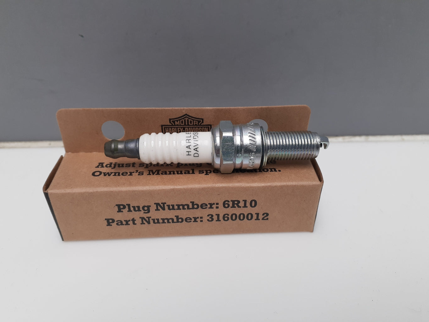 H-D Genuine 6R10 Spark Plug 31600012-31600012-Rolling Thunder Harley-Davidson