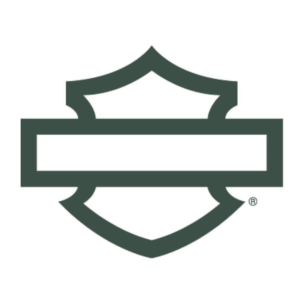 Fuel Filter Kit, With O-Ring-61011-04A-Rolling Thunder Harley-Davidson