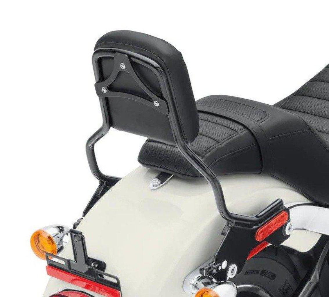 Holdfast Sissy Bar Upright - Standard Height-52300434-Rolling Thunder Harley-Davidson