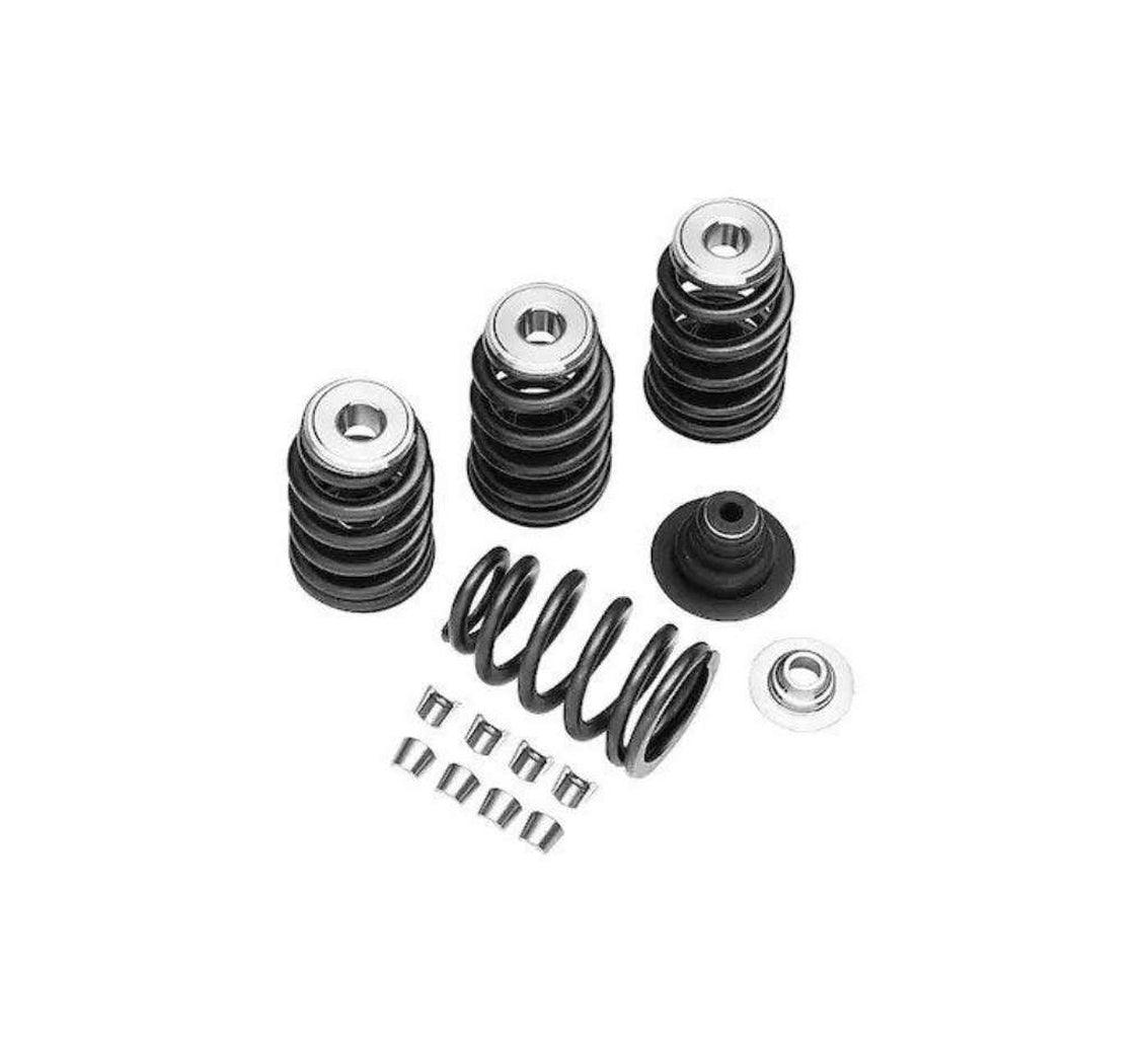Screamin' Eagle Performance Valve Spring Kit-18013-03A-Rolling Thunder Harley-Davidson