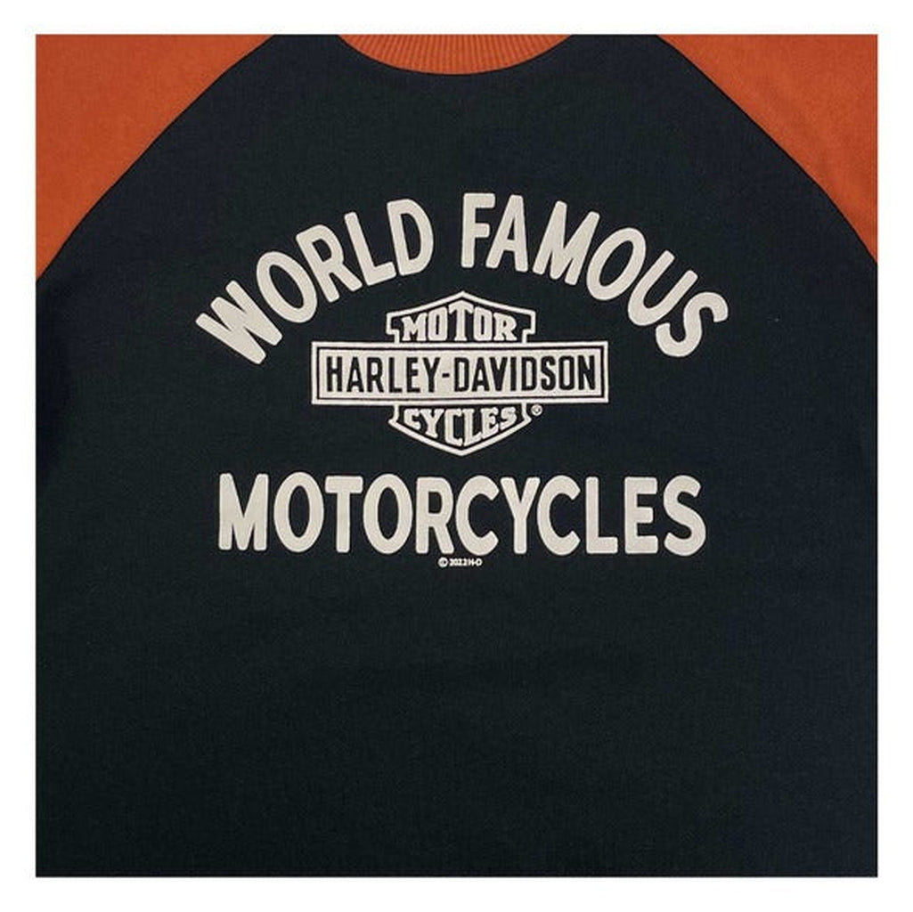 Harley-Davidson Boys World Famous Pullover-Rolling Thunder Harley-Davidson