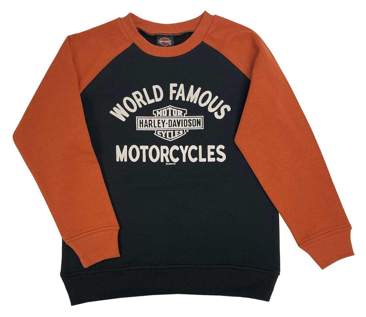 Harley-Davidson Boys World Famous Pullover-Rolling Thunder Harley-Davidson